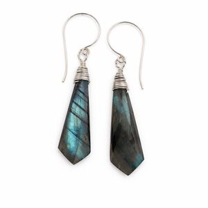 HK79324 Labradorite Hook Earrings